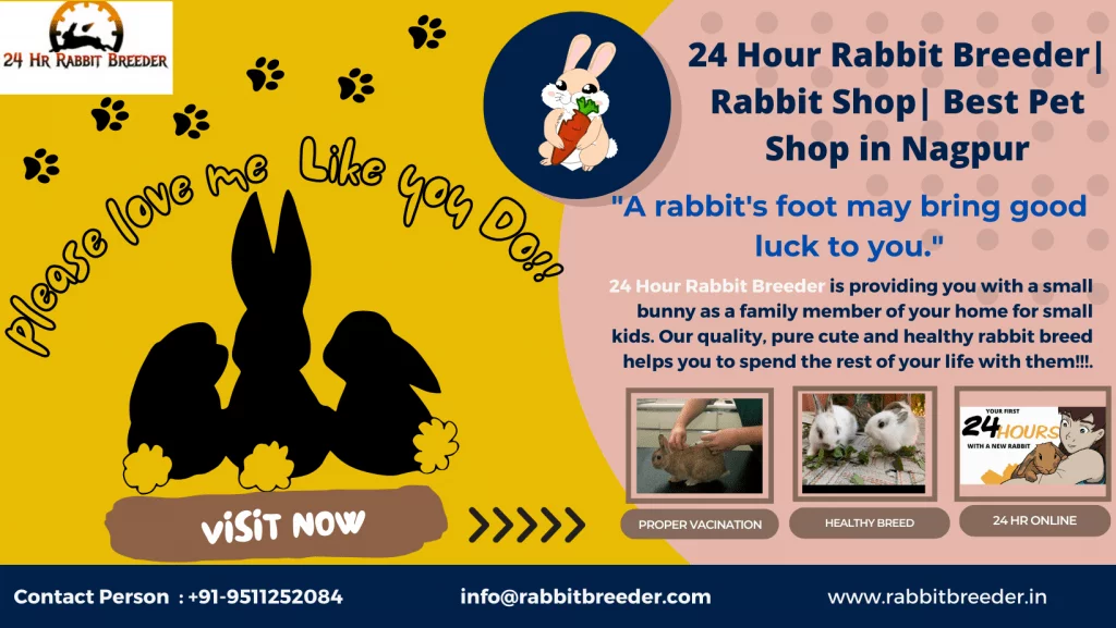 24 hour rabbit breeder