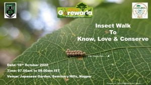 Insect-Walk-Cover Page